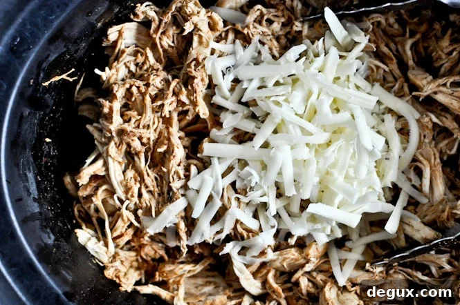 Crockpot Cheddar Beer Chicken Tacos