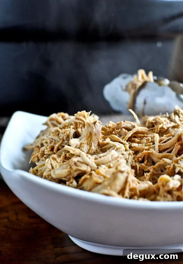 Crockpot Cheddar Beer Chicken Tacos