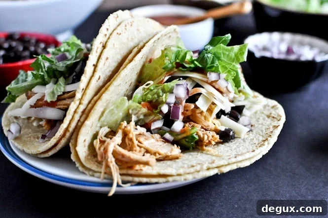 Crockpot Cheddar Beer Chicken Tacos