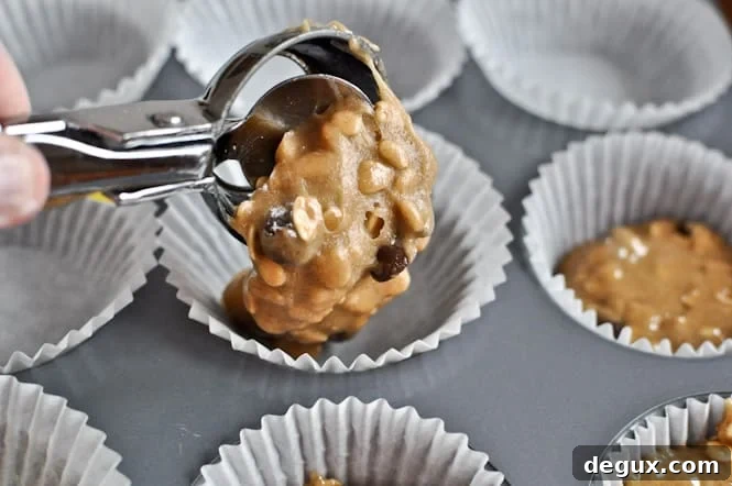Chocolate Chip Oatmeal Cupcakes with Cinnamon Sugared Chip Frosting