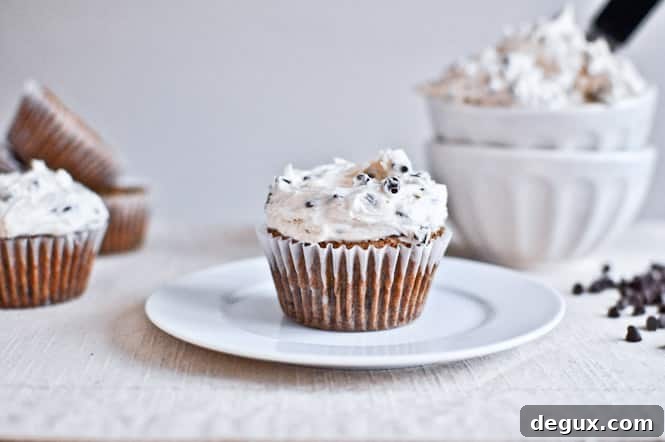 Chocolate Chip Oatmeal Cupcakes with Cinnamon Sugared Chip Frosting