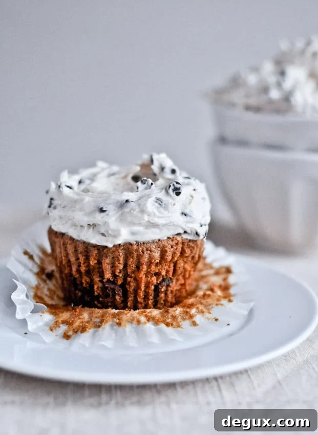 Chocolate Chip Oatmeal Cupcakes with Cinnamon Sugared Chip Frosting