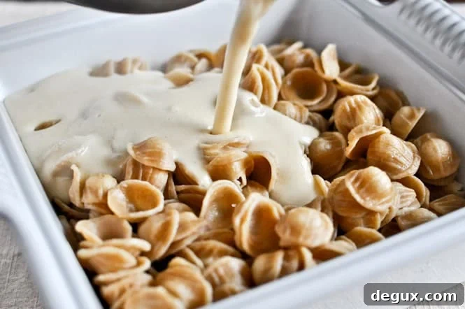 White Cheddar + Arugula Pesto Mac and Cheese