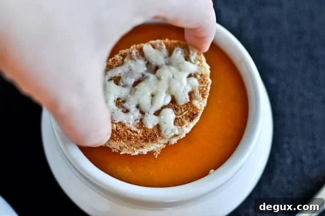 Bowl of Buffalo Chicken Soup