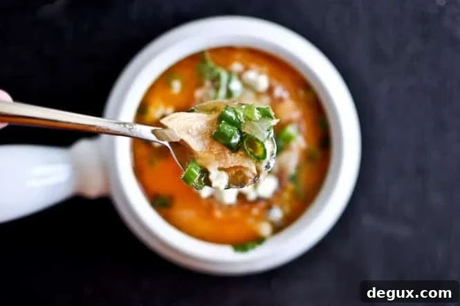 Enjoy Buffalo Chicken Soup