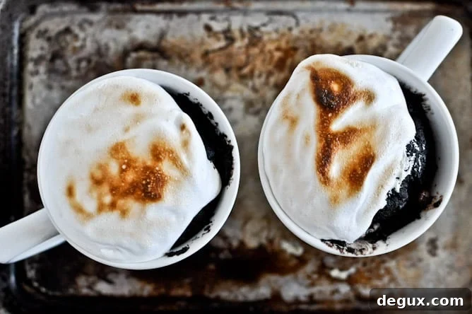 5 Minute Chocolate Fudge S'mores Mug Cake 5 Minute Chocolate Fudge S'mores Mug Cake