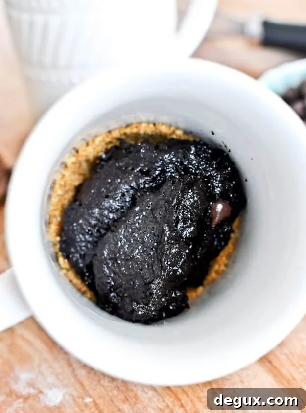 5 Minute Chocolate Fudge S'mores Mug Cake 5 Minute Chocolate Fudge S'mores Mug Cake