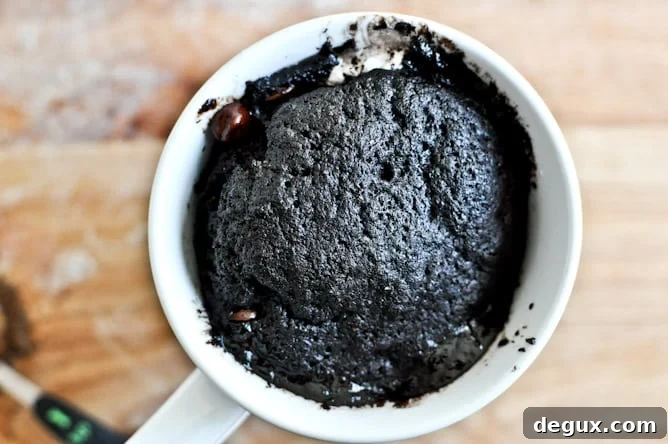 5 Minute Chocolate Fudge S'mores Mug Cake 5 Minute Chocolate Fudge S'mores Mug Cake