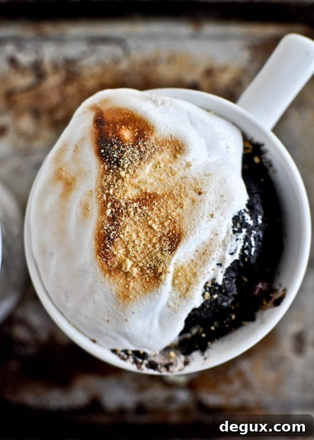 5 Minute Chocolate Fudge S'mores Mug Cake 5 Minute Chocolate Fudge S'mores Mug Cake