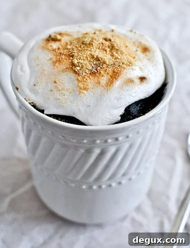 5 Minute Chocolate Fudge S'mores Mug Cake 5 Minute Chocolate Fudge S'mores Mug Cake