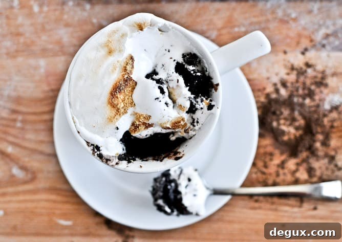 5 Minute Chocolate Fudge S'mores Mug Cake 5 Minute Chocolate Fudge S'mores Mug Cake