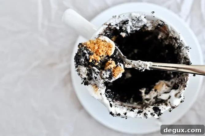 5 Minute Chocolate Fudge S'mores Mug Cake 5 Minute Chocolate Fudge S'mores Mug Cake