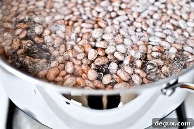 refriedbeans-2 Seasoned refried beans