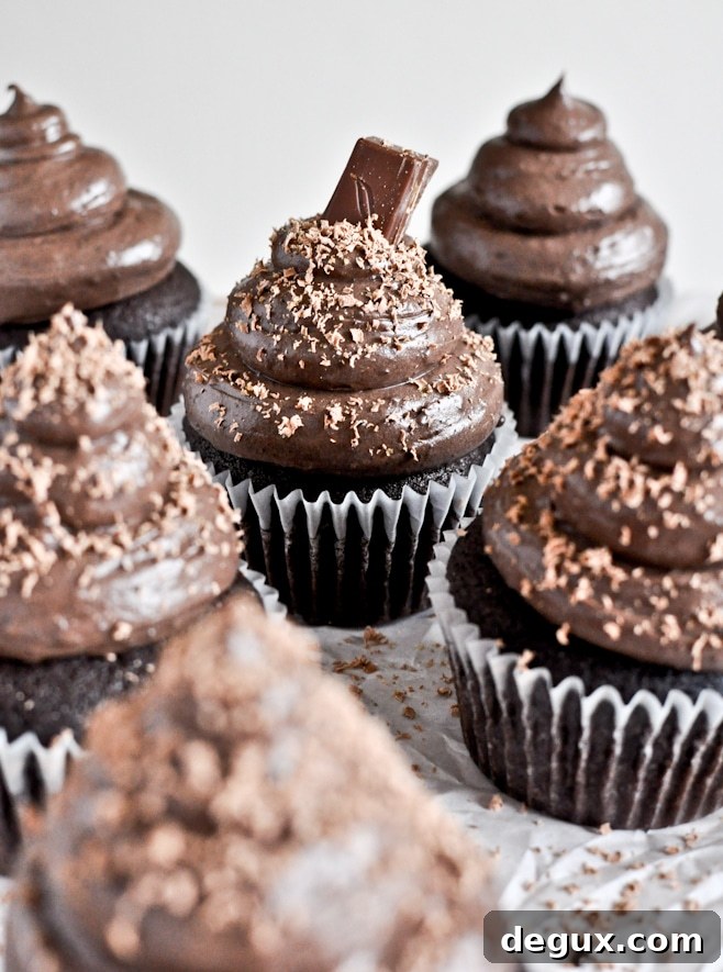 Chocolate Lover's Cupcakes Chocolate Lover's Cupcakes