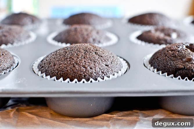 Chocolate Lover's Cupcakes Chocolate Lover's Cupcakes