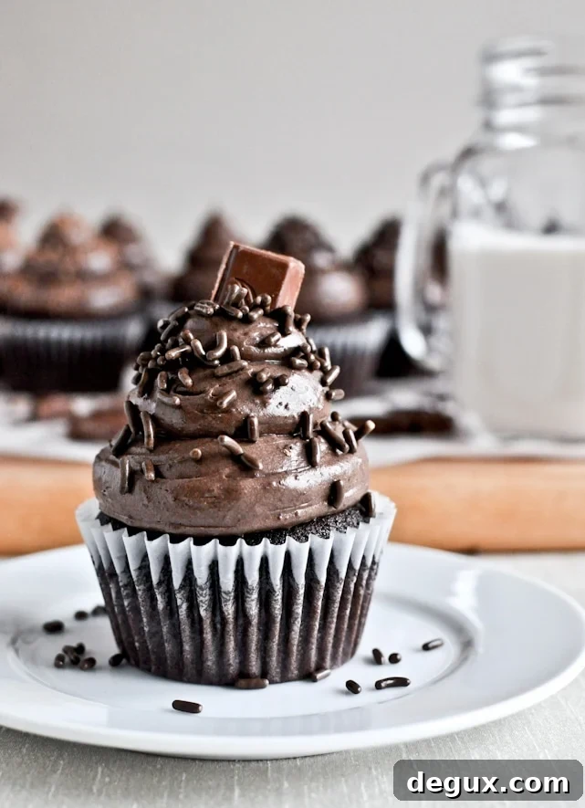 Chocolate Lover's Cupcakes Chocolate Lover's Cupcakes