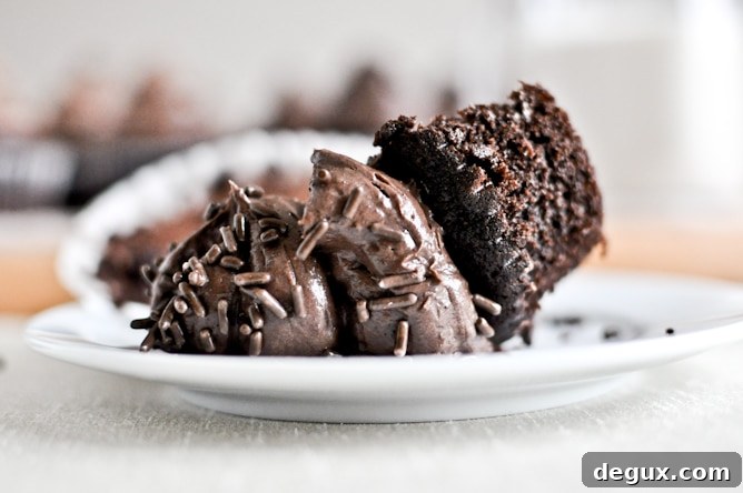 Chocolate Lover's Cupcakes Chocolate Lover's Cupcakes