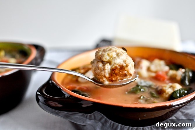 Mini Chicken Meatball Soup Mini Chicken Meatball Soup