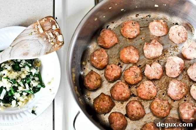 Mini Chicken Meatball Soup Mini Chicken Meatball Soup