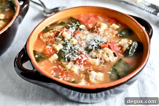 Mini Chicken Meatball Soup Mini Chicken Meatball Soup