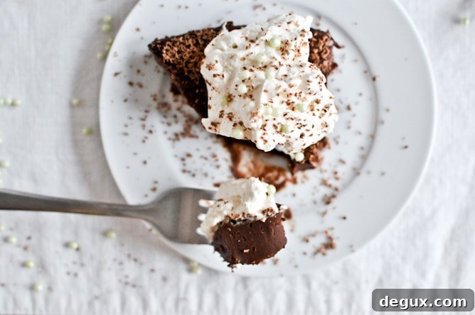 No Bake Milk Chocolate Bailey's Truffle Cake
