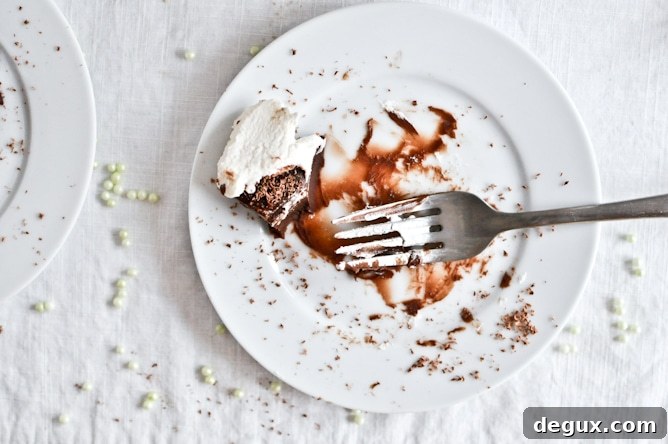 No Bake Milk Chocolate Bailey's Truffle Cake