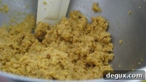 IMG_1998 IMG_1998