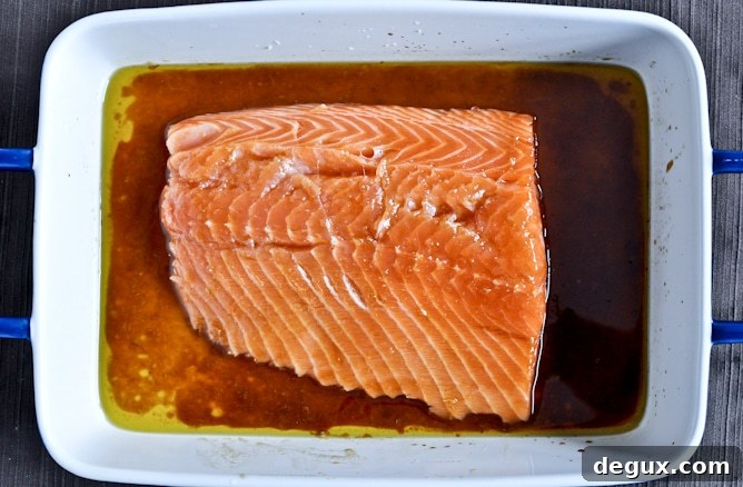 Toasted Sesame Ginger Salmon Toasted Sesame Ginger Salmon