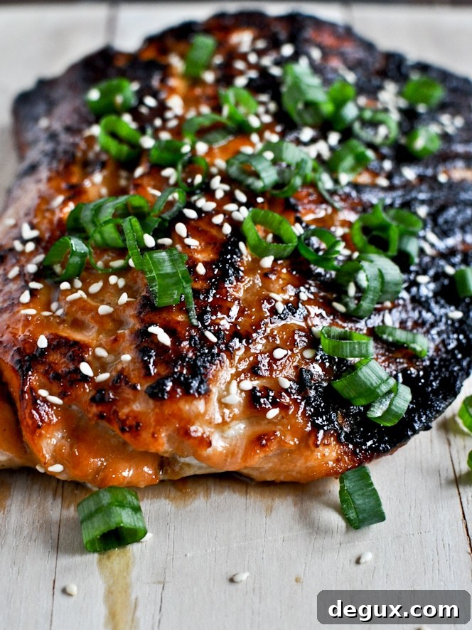 Toasted Sesame Ginger Salmon Toasted Sesame Ginger Salmon