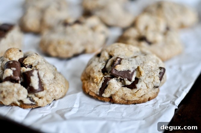 Brown Butter Oatmeal Chunk Cookies Brown Butter Oatmeal Chunk Cookies