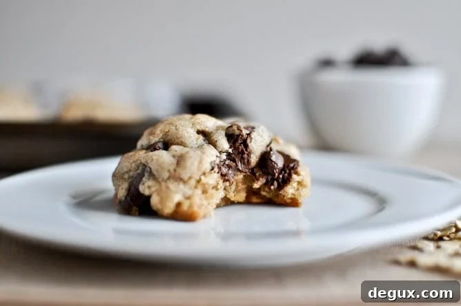 Brown Butter Oatmeal Chunk Cookies Brown Butter Oatmeal Chunk Cookies