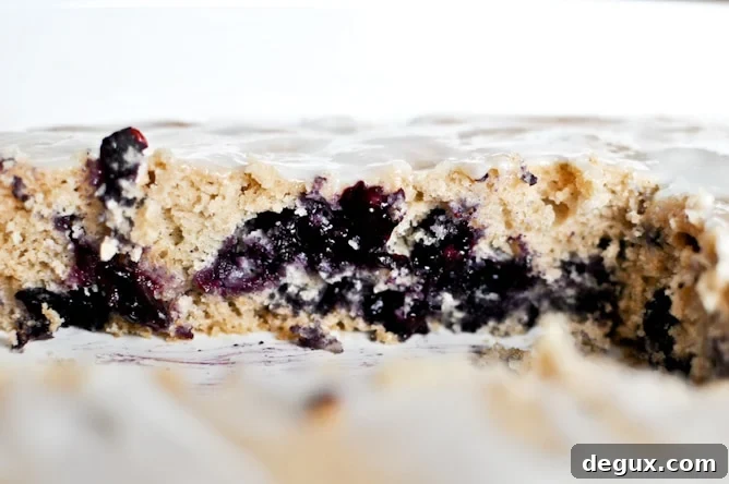 Blueberry Bacon Breakfast Cake Blueberry Bacon Breakfast Cake