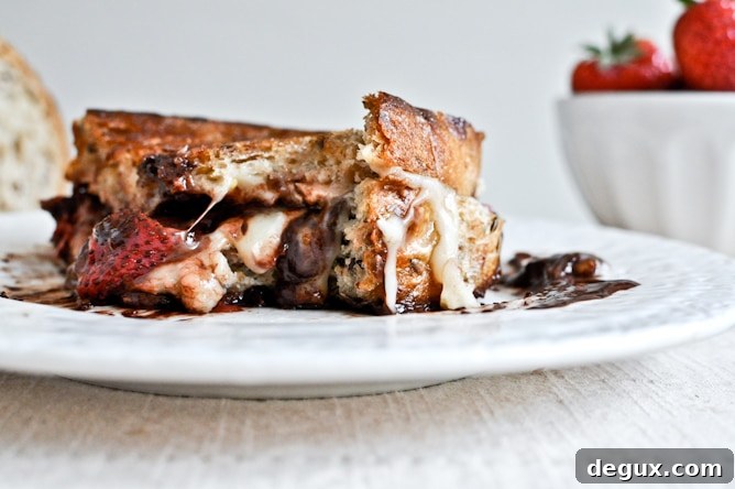 Roasted Strawberry, Brie + Chocolate Grilled Cheese