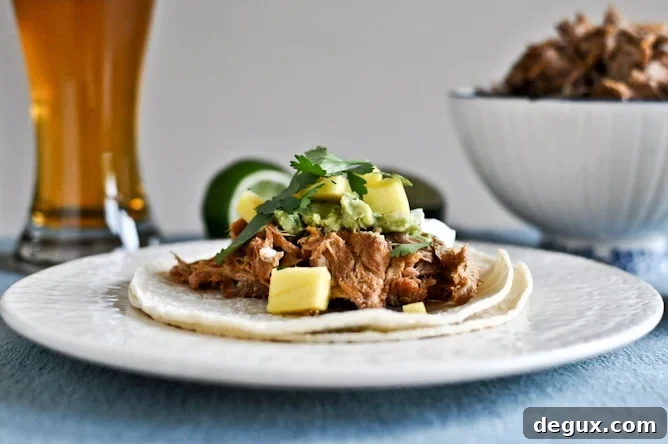 Carnitas with toppings Carnitas with toppings
