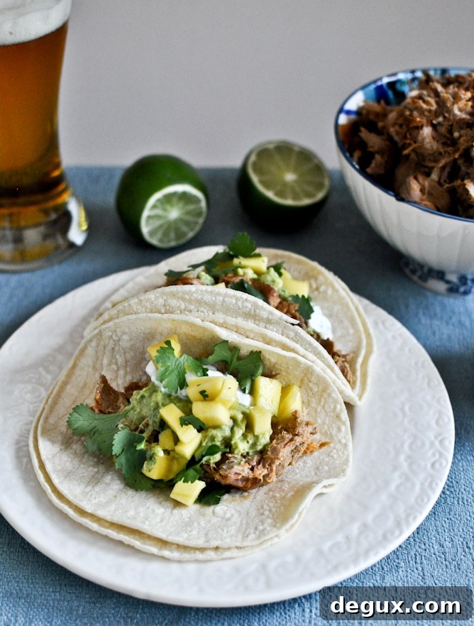 Close-up carnitas Close-up carnitas