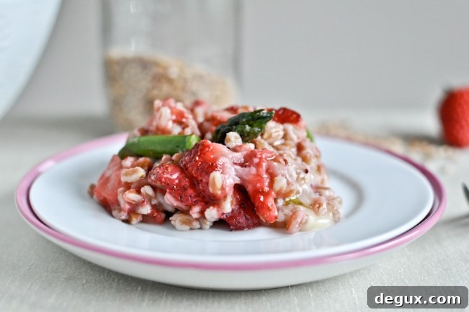 sfarro-2 img 24315 2