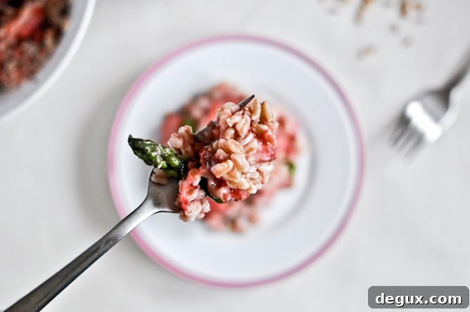 sfarro-3 img 24315 5