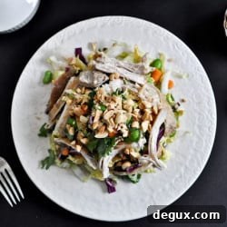 Thai Crunch Chicken Salad with Peanut Dressing 2 img 24827 6