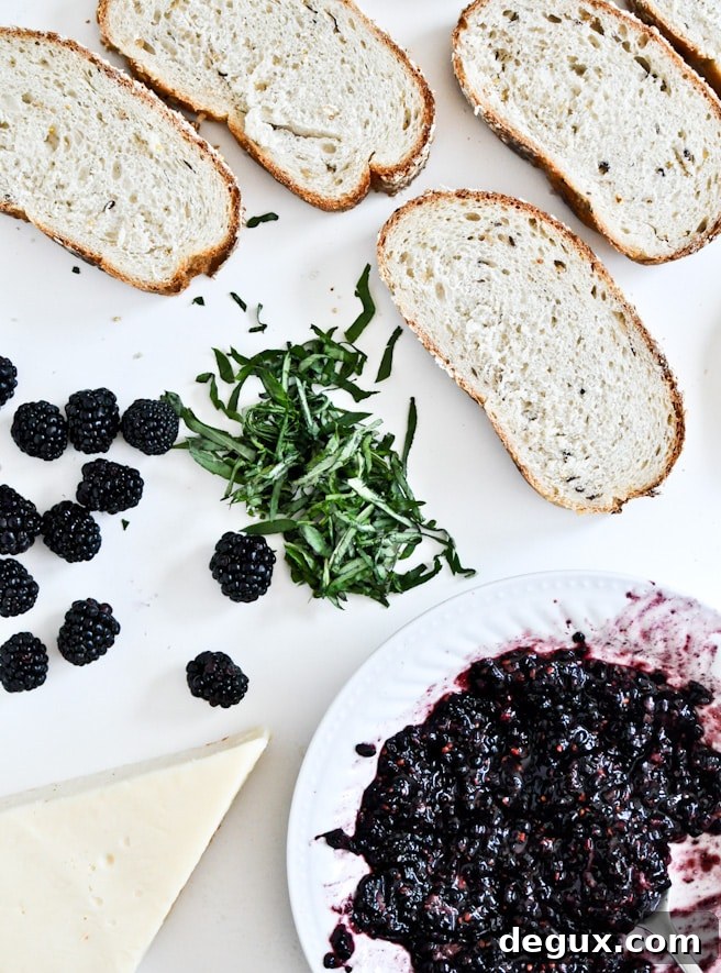 Grilled Fontina + Blackberry Basil Smash Sandwiches Grilled Fontina + Blackberry Basil Smash Sandwiches
