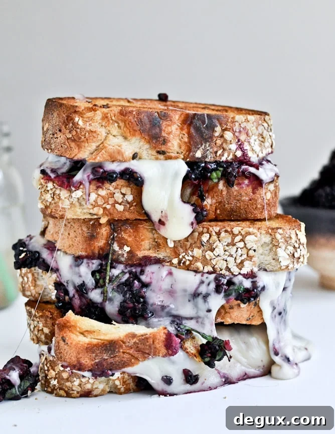 Grilled Fontina + Blackberry Basil Smash Sandwiches Grilled Fontina + Blackberry Basil Smash Sandwiches