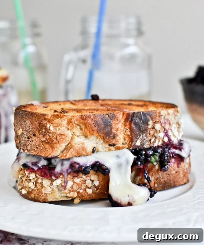 Grilled Fontina + Blackberry Basil Smash Sandwiches Grilled Fontina + Blackberry Basil Smash Sandwiches