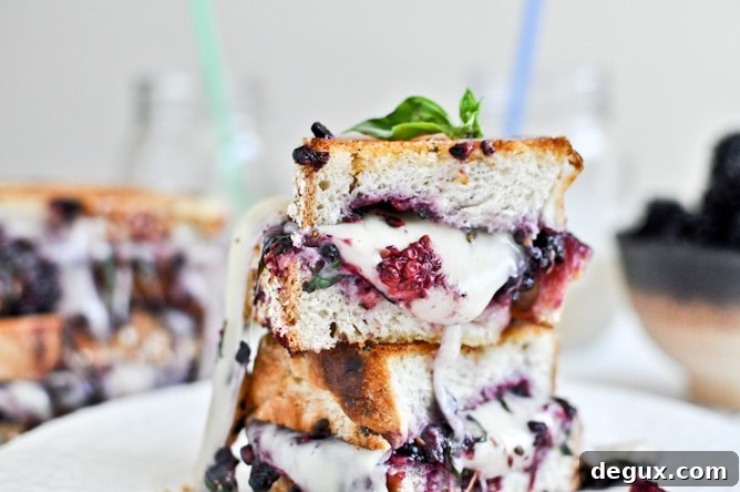 Grilled Fontina + Blackberry Basil Smash Sandwiches Grilled Fontina + Blackberry Basil Smash Sandwiches