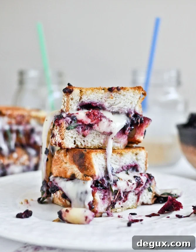 Grilled Fontina + Blackberry Basil Smash Sandwiches Grilled Fontina + Blackberry Basil Smash Sandwiches
