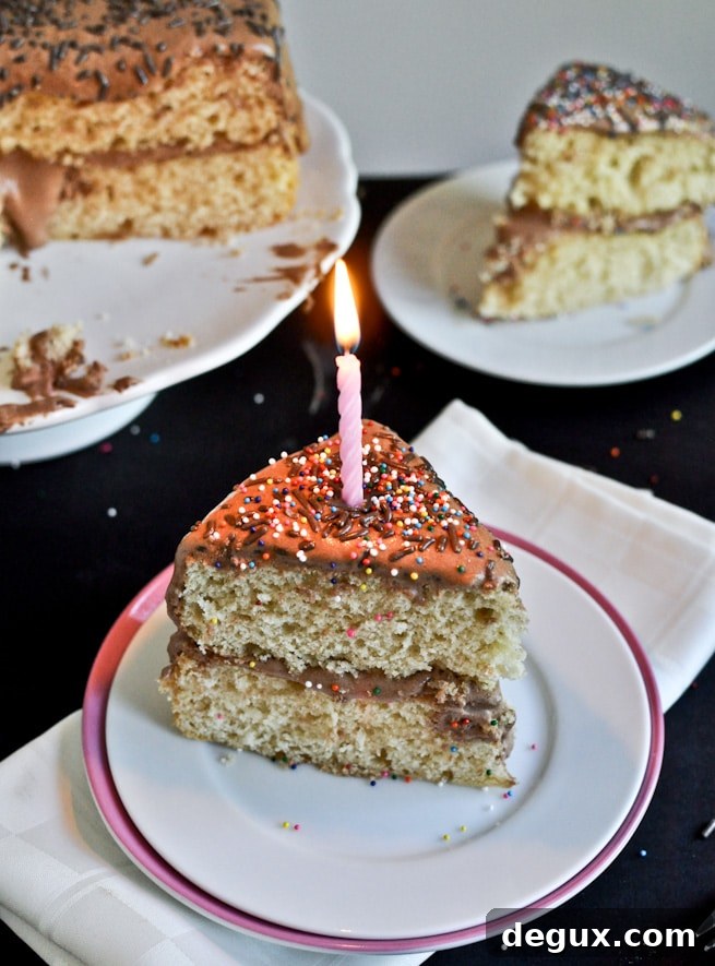 bdaycake-4-2 img 25084 9