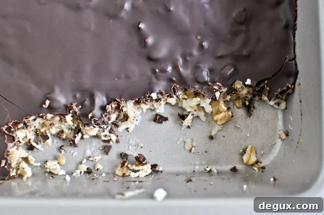 Thin + Chewy Chocolate Drenched Coconut Oatmeal Squares