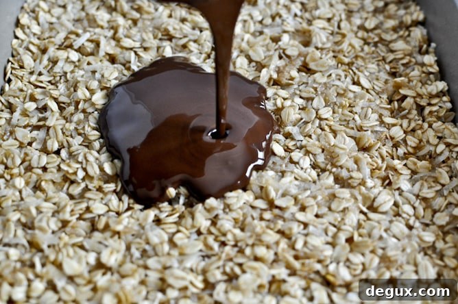 Thin + Chewy Chocolate Drenched Coconut Oatmeal Squares