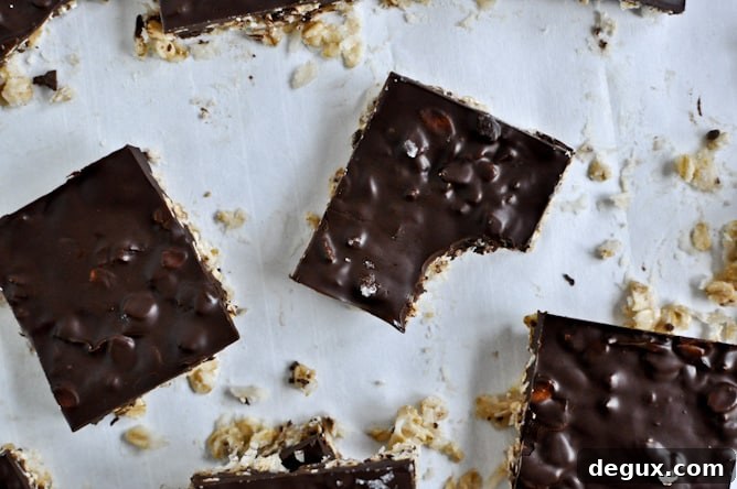 Thin + Chewy Chocolate Drenched Coconut Oatmeal Squares