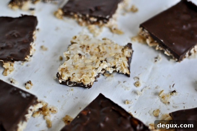 Thin + Chewy Chocolate Drenched Coconut Oatmeal Squares