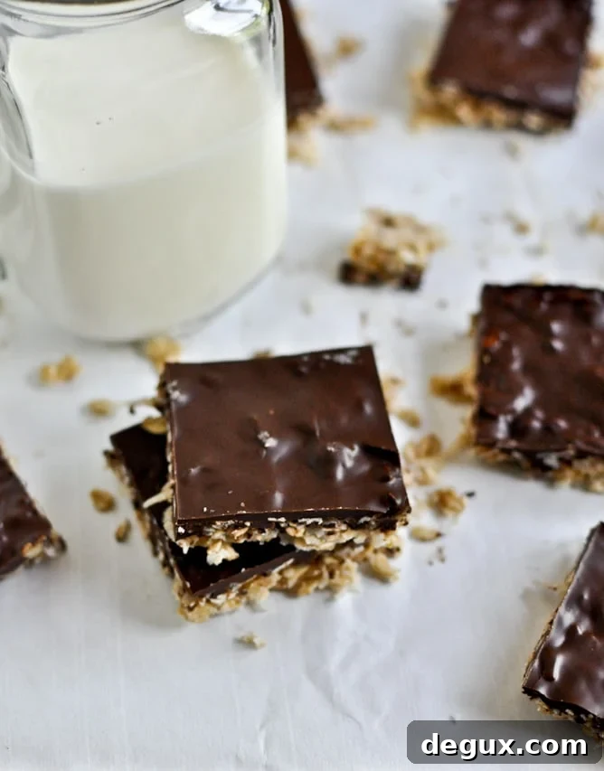 Thin + Chewy Chocolate Drenched Coconut Oatmeal Squares