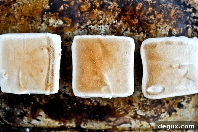 Bourbon Bacon Marshmallow S'mores Bourbon Bacon Marshmallow S'mores